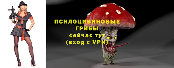 трава Каменногорск