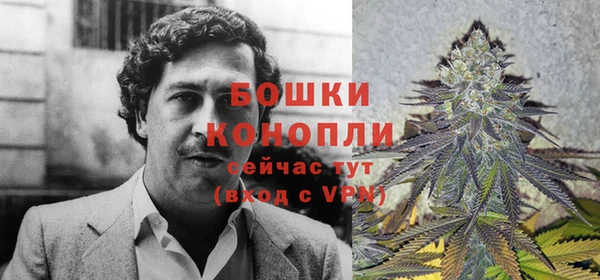 гашик Каменск-Шахтинский