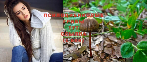 гашик Каменск-Шахтинский