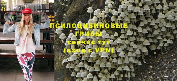 трава Каменногорск