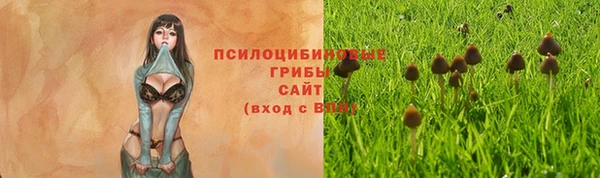 трава Каменногорск