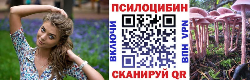 Псилоцибиновые грибы Cubensis наркота Новокузнецк