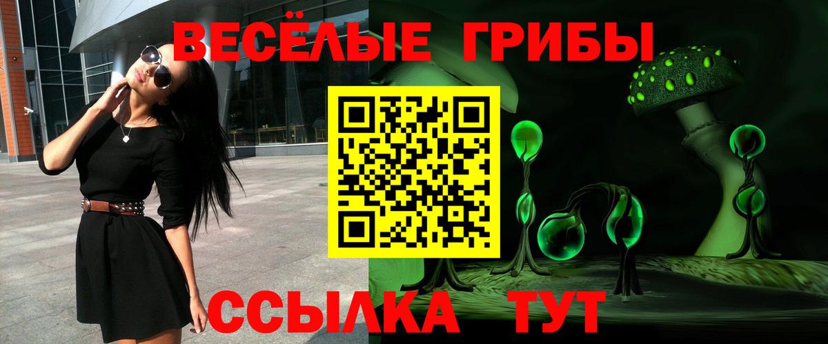 Псилоцибиновые грибы GOLDEN TEACHER Новокузнецк